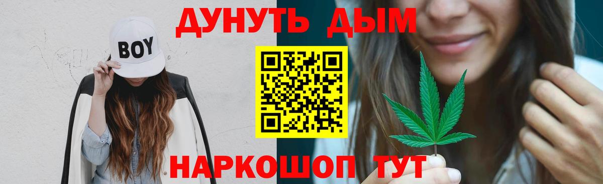 Марихуана сатива Кстово